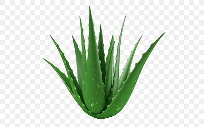 Aloe Vera Succulent Plant Gel Indoor Air Quality, PNG, 512x512px, Aloe Vera, Agave Azul, Aloe, Burn, Cactaceae Download Free