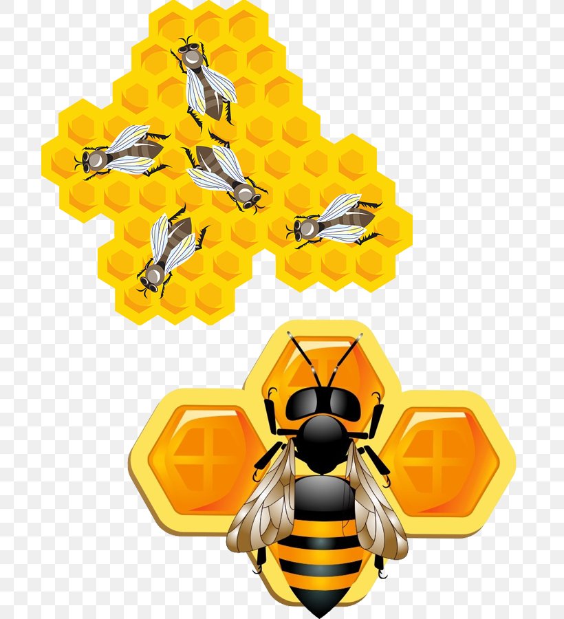 Bee Insect Honeycomb Clip Art, PNG, 700x900px, 3d Computer Graphics, Bee, Arthropod, Bumblebee, Honey Bee Download Free