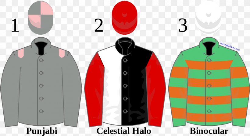 Champion Hurdle Cheltenham Racecourse Thoroughbred Horse Racing 2017 Melbourne Cup, PNG, 1200x656px, 2017 Melbourne Cup, Champion Hurdle, Brand, Cheltenham Racecourse, Clothes Hanger Download Free