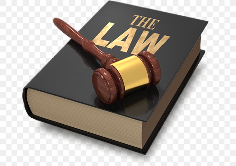 Criminal Defense Lawyer Criminal Law Legal Aid, PNG, 665x575px, Lawyer, Counsel, Court, Criminal Defense Lawyer, Criminal Law Download Free