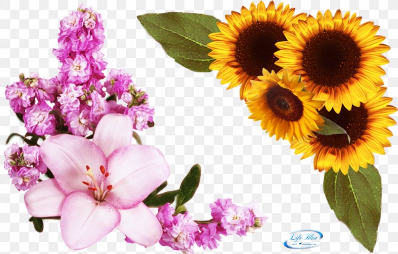 Pink Flowers Clip Art, PNG, 1024x656px, Flower, Adobe Premiere Pro, Annual Plant, Cut Flowers, Digital Image Download Free