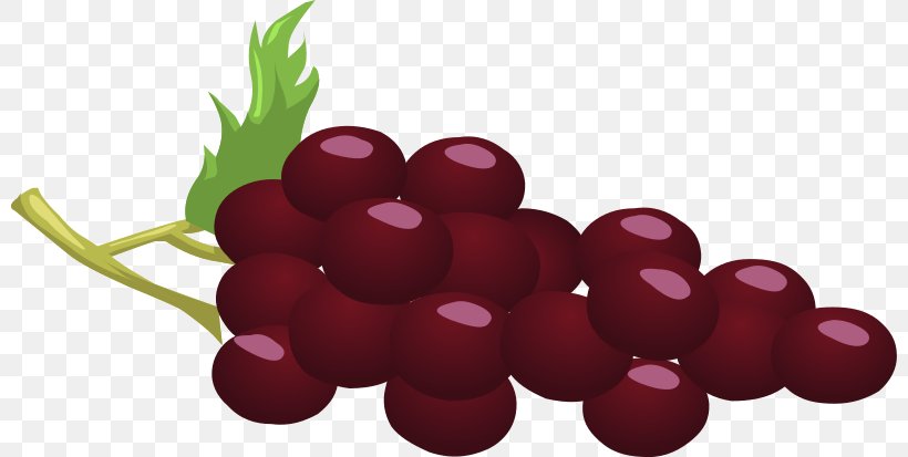 Common Grape Vine Wine Concord Grape Clip Art, PNG, 800x413px, Common Grape Vine, Beet, Berry, Cherry, Concord Grape Download Free