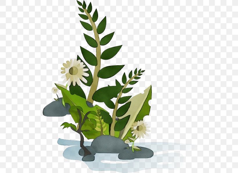 Flowerpot Flower Plant Leaf Houseplant, PNG, 546x597px, Watercolor, Aquarium Decor, Flower, Flowering Plant, Flowerpot Download Free