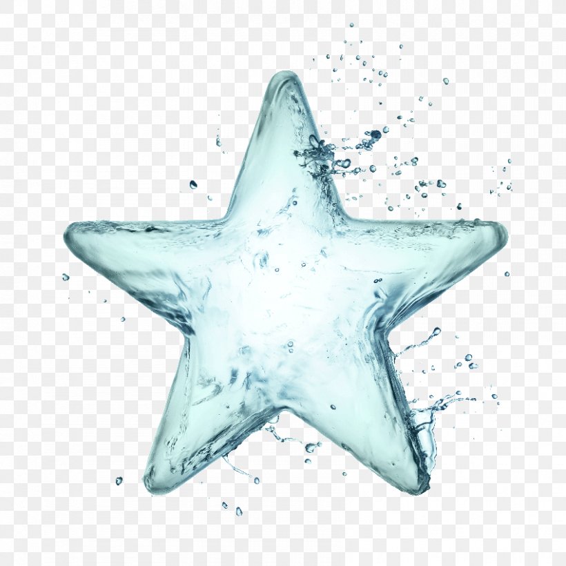 Stock Photography Water Drop Desktop Wallpaper Star, PNG, 850x850px, Stock Photography, Animation, Drop, Echinoderm, Fish Download Free