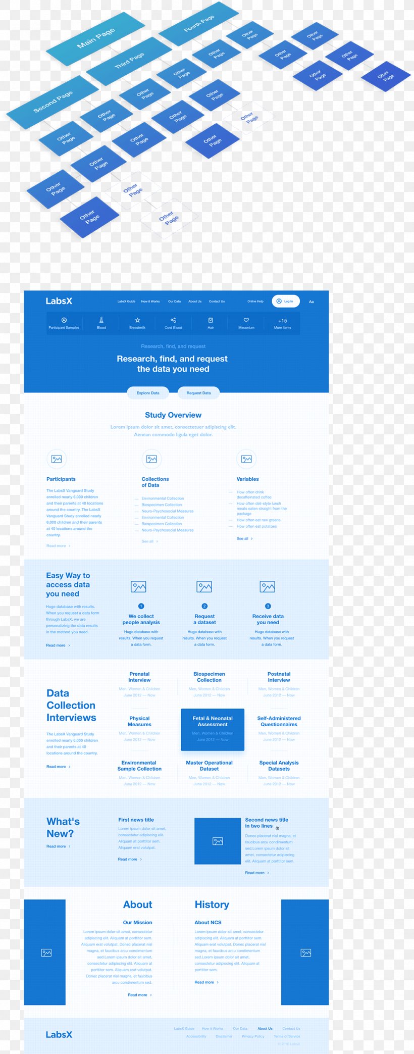Web Page Logo Organization Brand, PNG, 1056x2688px, Web Page, Area, Blue, Brand, Diagram Download Free
