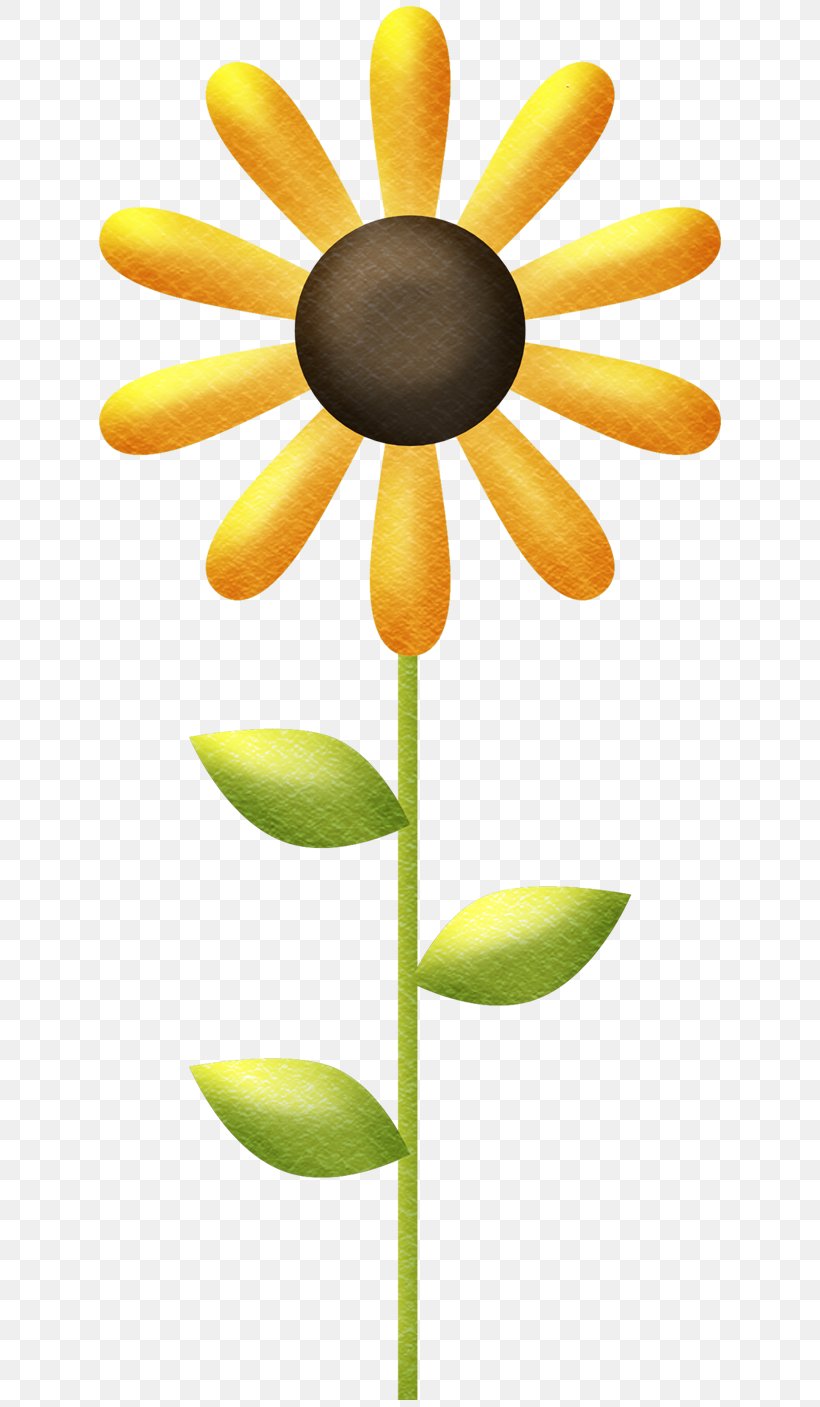 Common Sunflower Clip Art, PNG, 634x1407px, Common Sunflower, Daisy Family, Designer, Floral Design, Flower Download Free