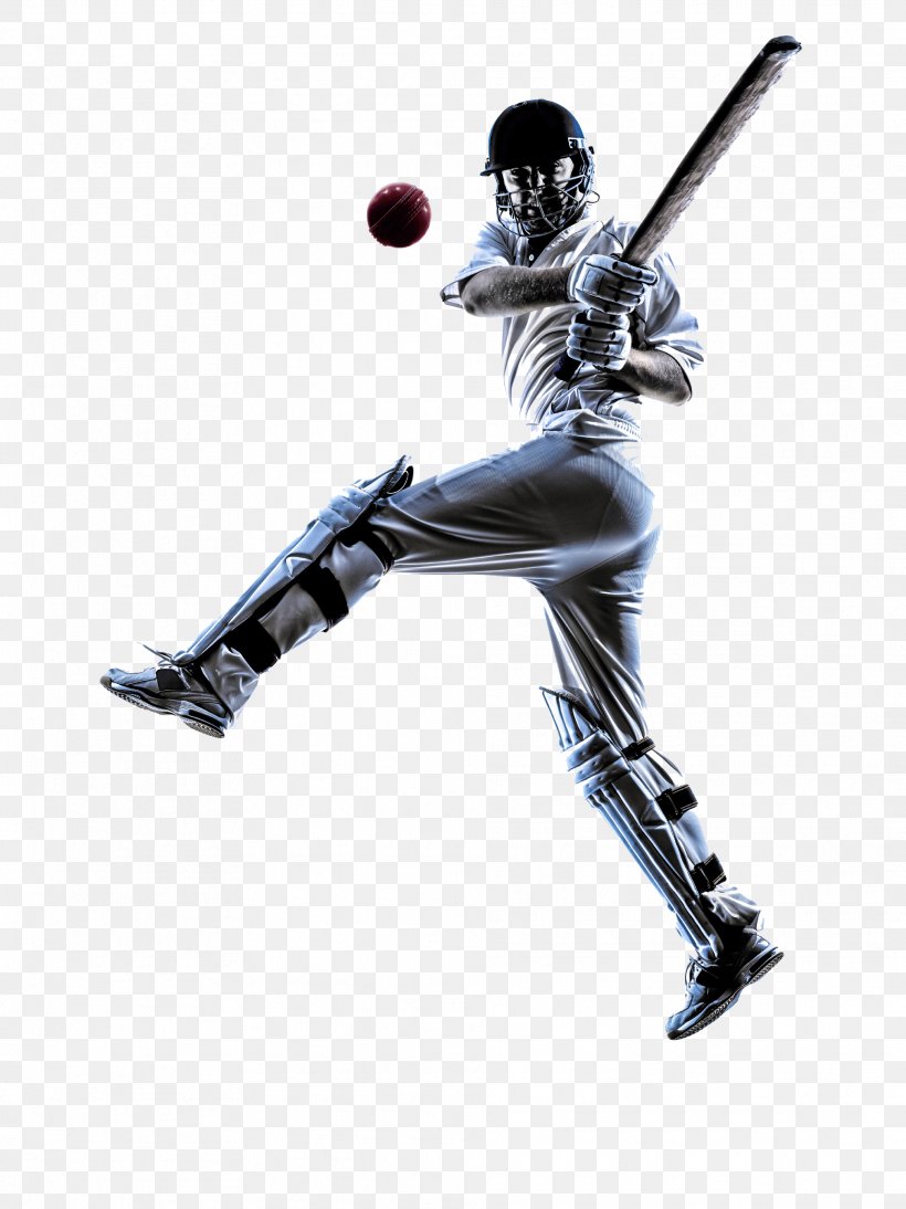 Cricket World Cup Australia National Cricket Team Royalty-free Stock Photography, PNG, 1919x2561px, Cricket, Australia National Cricket Team, Baseball, Baseball Bat, Baseball Equipment Download Free