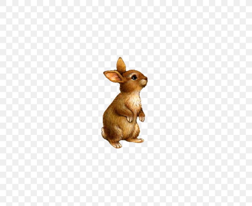 Domestic Rabbit Clip Art, PNG, 636x672px, Easter Bunny, Animal, Blog, Domestic Rabbit, Easter Download Free