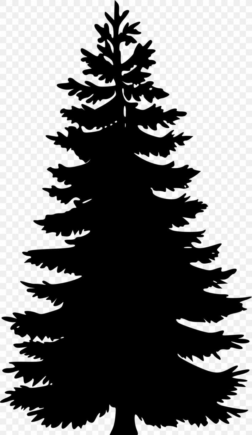 Eastern White Pine Tree Clip Art, PNG, 958x1652px, Pine, Black And White, Black Pine, Blog, Branch Download Free