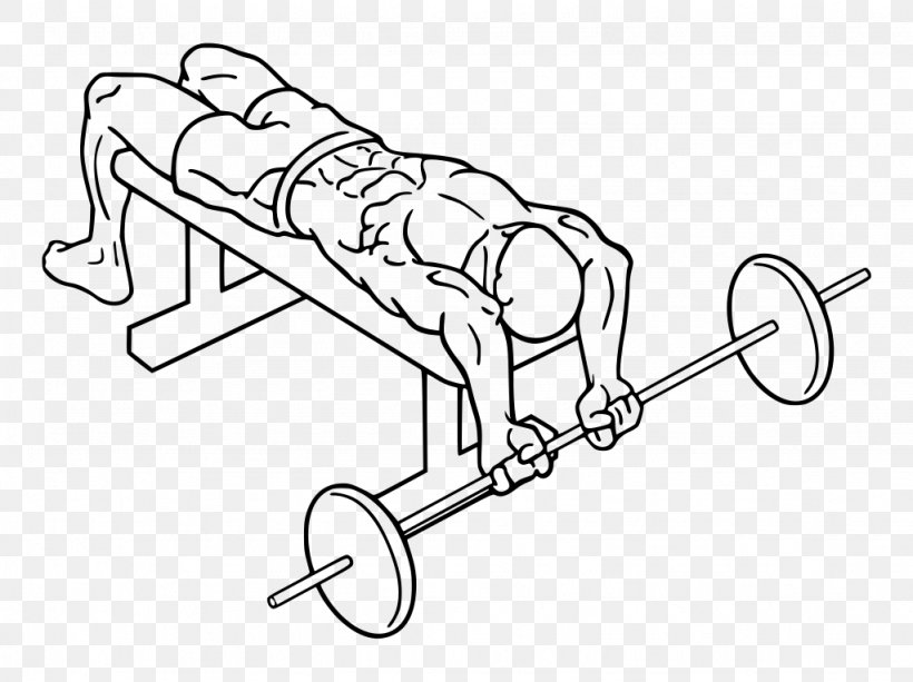 Bench Press Fly Dumbbell Exercise, PNG, 1024x766px, Bench Press, Area, Arm, Art, Artwork Download Free