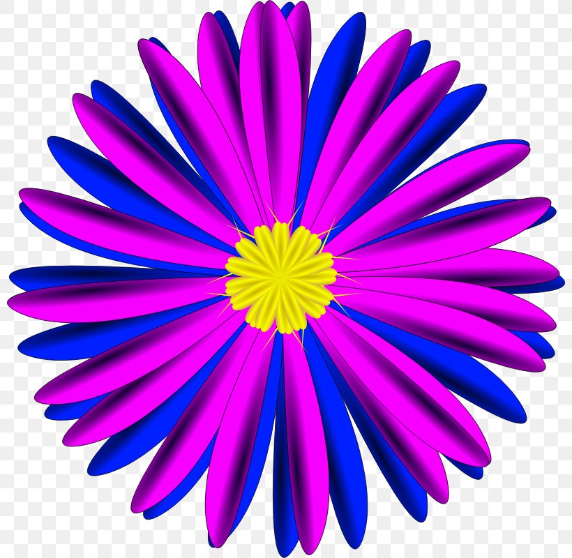 Blue Flower Pink Clip Art, PNG, 800x800px, Flower, Aster, Blue, Blue Flower, Blue Rose Download Free