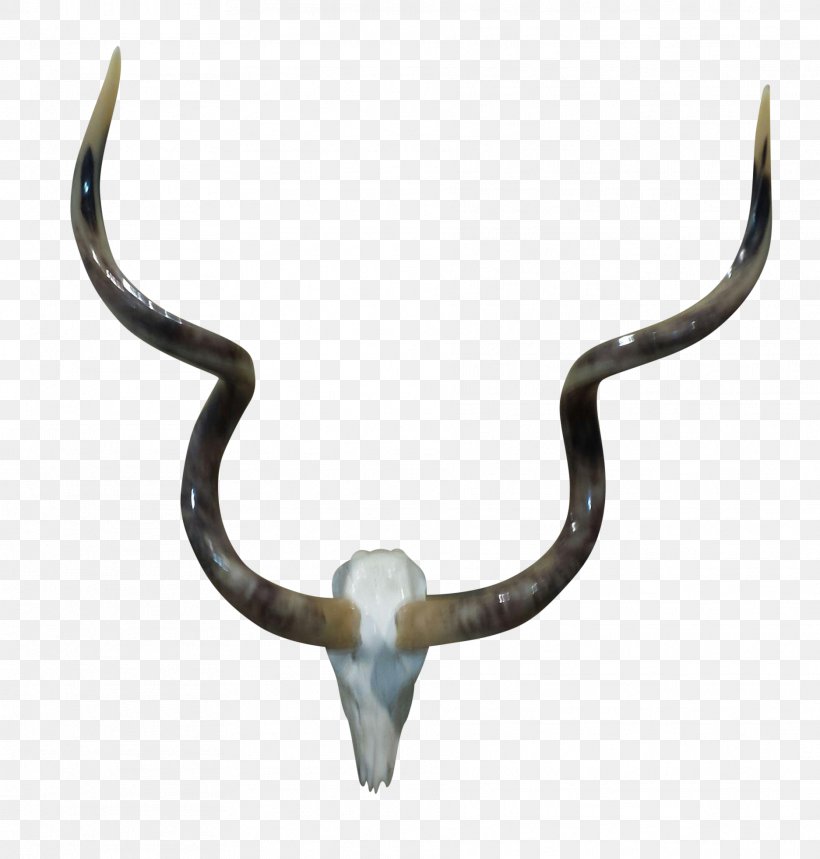 Cattle, PNG, 1873x1963px, Cattle, Antelope, Antler, Cattle Like Mammal, Horn Download Free