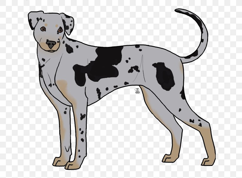 Dalmatian Dog Dog Breed Non-sporting Group Crossbreed, PNG, 643x603px, Dalmatian Dog, Breed, Carnivoran, Crossbreed, Dalmatian Download Free