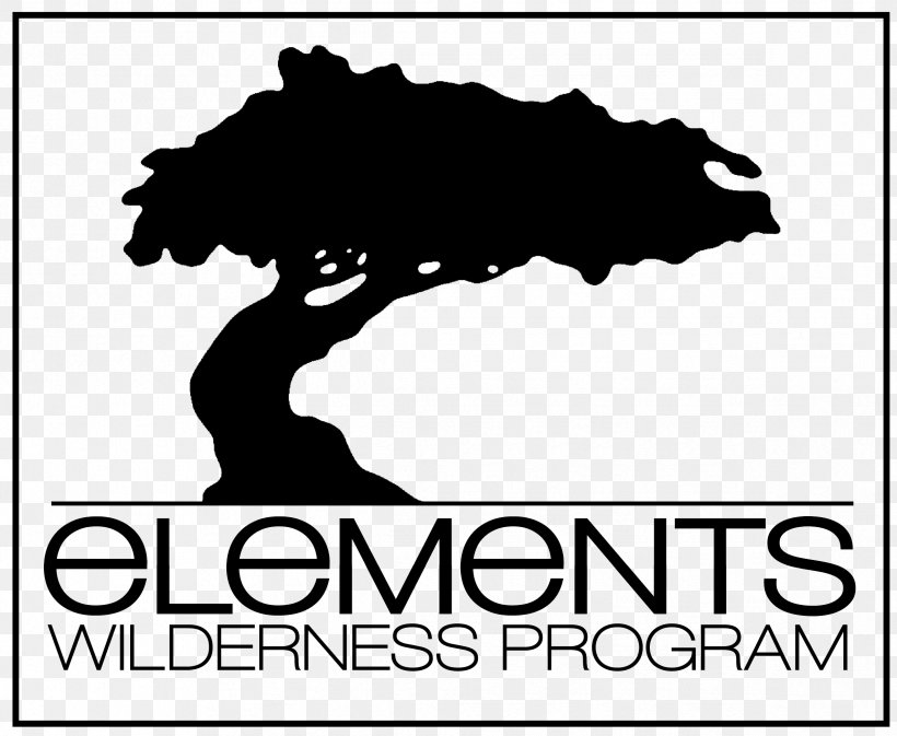 Elements Wilderness Program Wilderness Therapy Child Adolescence, PNG, 2376x1952px, Wilderness Therapy, Adolescence, Area, Artwork, Black Download Free