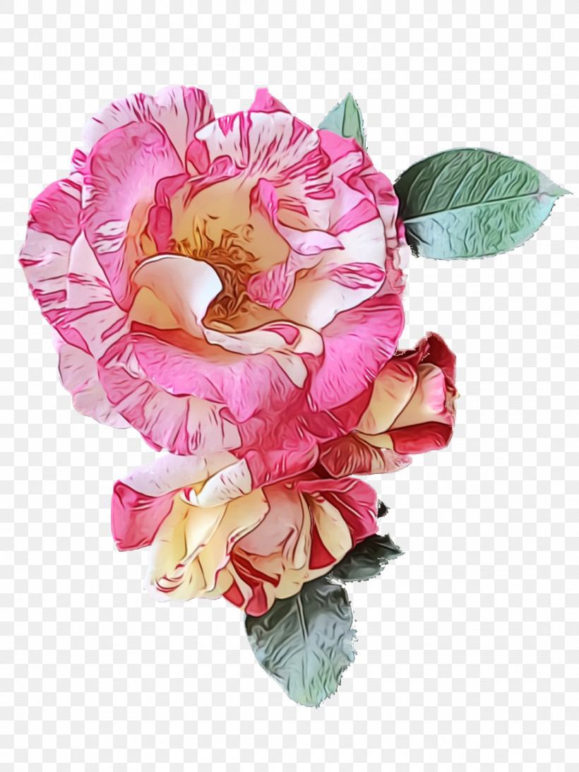 Garden Roses, PNG, 1080x1440px, Watercolor, Artificial Flower, Cabbage Rose, Cut Flowers, Floral Design Download Free
