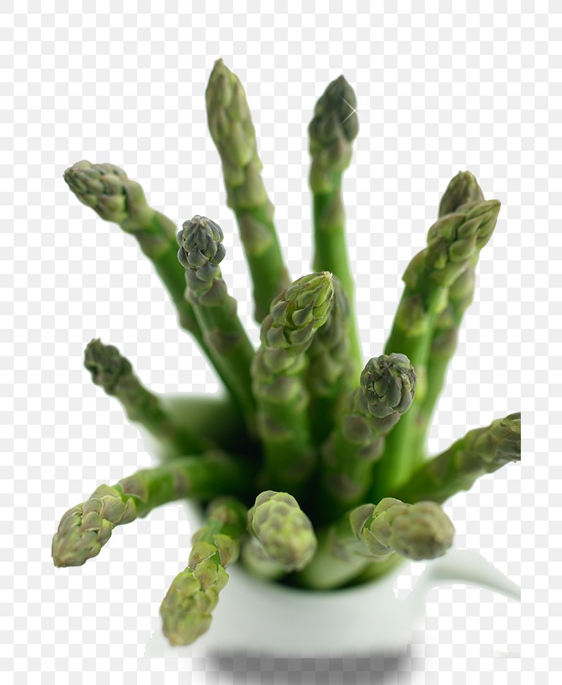 Meat, PNG, 700x1000px, Meat, Asparagus, Diet, Fat, Food Download Free