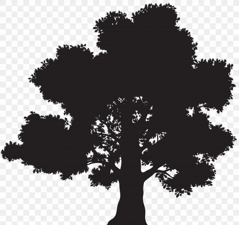 Oak Silhouette Tree Clip Art, PNG, 8000x7536px, Oak, Black And White, Illustration, Monochrome, Monochrome Photography Download Free