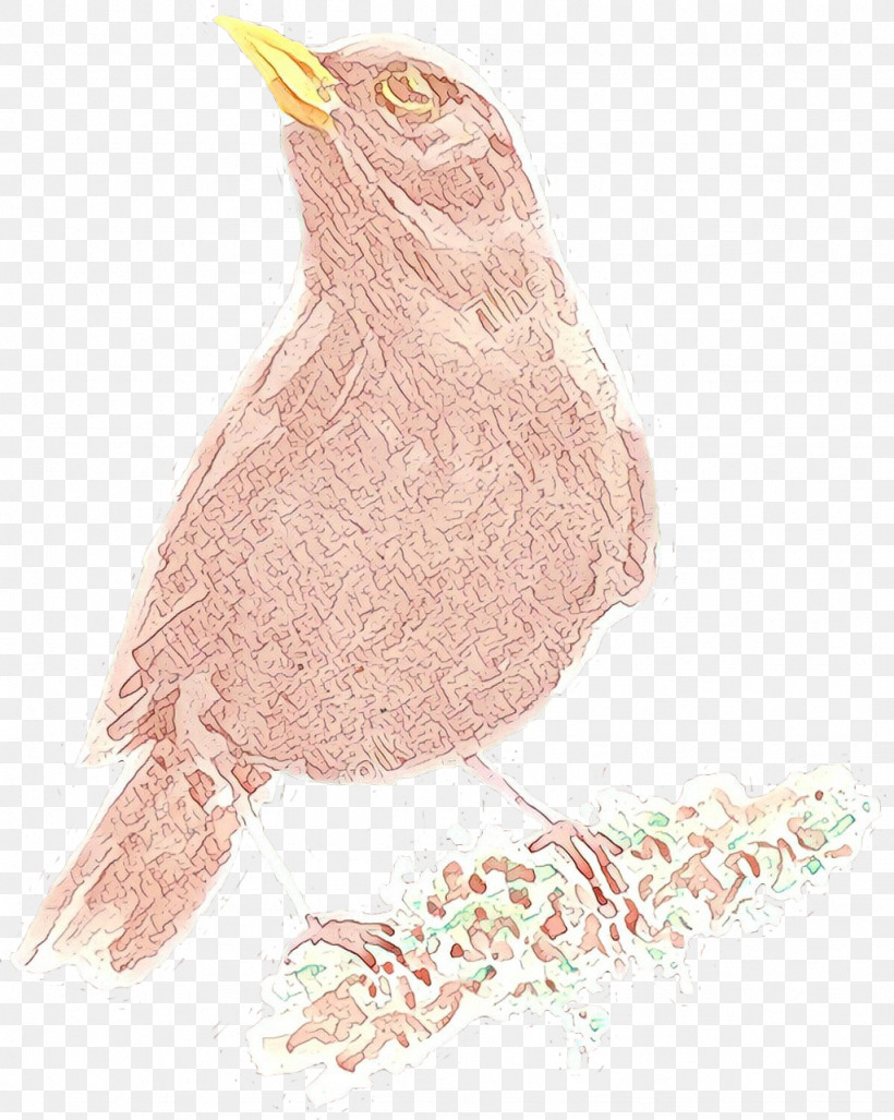 Penguin, PNG, 1024x1283px, Bird, Beak, Drawing, Flightless Bird, Penguin Download Free