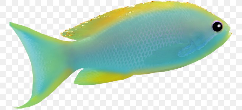 Fish Blue Orange, PNG, 764x373px, Fish, Blue, Color, Coral Reef Fish, Fauna Download Free
