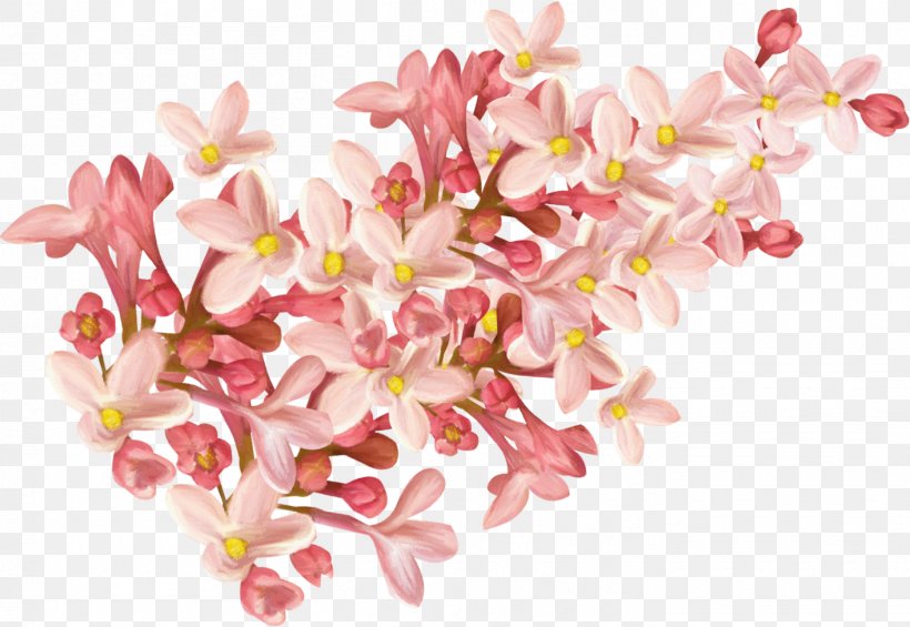 Flower Pink Clip Art, PNG, 1413x974px, Flower, Blossom, Branch, Cherry Blossom, Cut Flowers Download Free