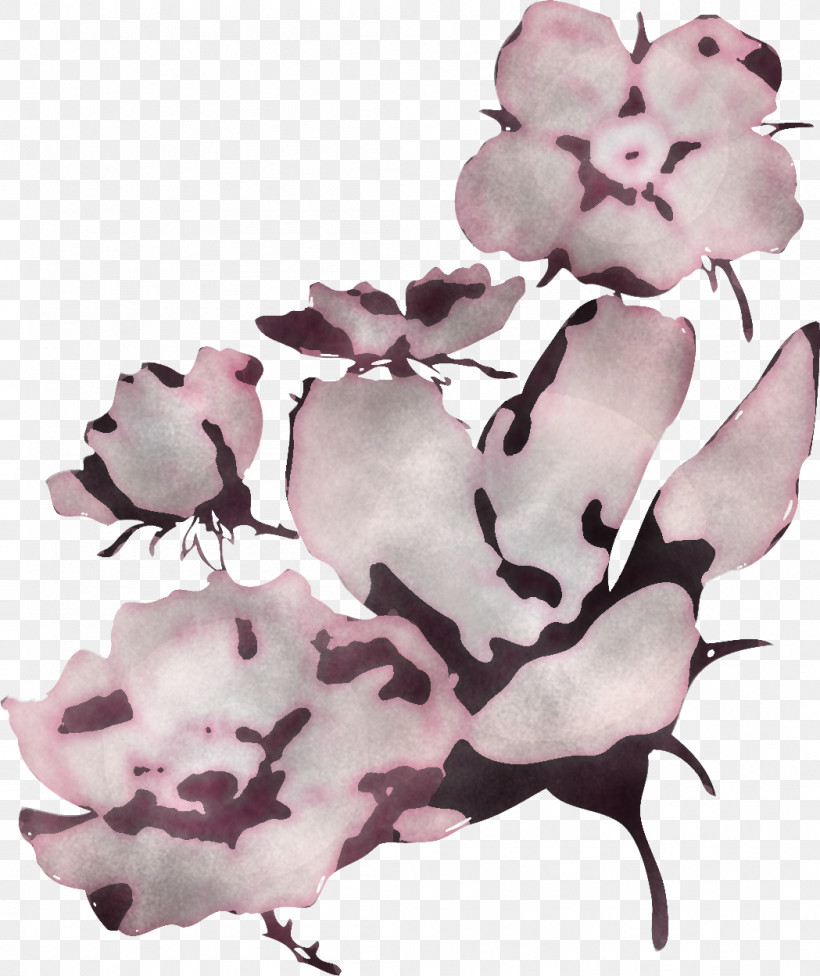 Pink Flower Plant Petal Herbaceous Plant, PNG, 1049x1249px, Pink, Blossom, Flower, Herbaceous Plant, Petal Download Free