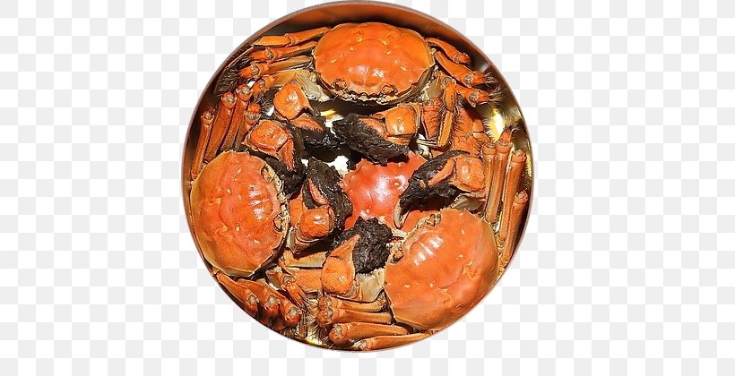 Chinese Mitten Crab Gaochun District Yangcheng Lake Gucheng Lake, PNG, 600x420px, Crab, Animal Source Foods, Chinese Mitten Crab, Christmas Island Red Crab, Decapoda Download Free