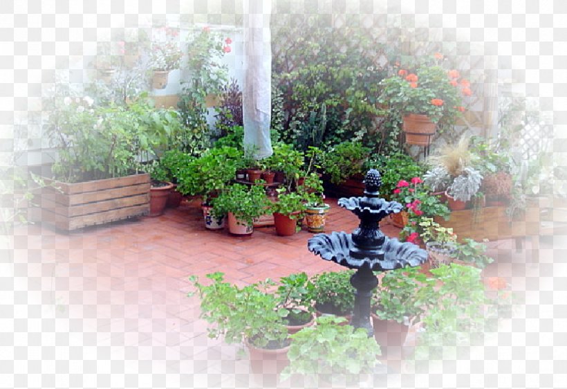 Garden Tree Houseplant Shrub Herb, PNG, 829x569px, Garden, Flora, Flowerpot, Grass, Herb Download Free