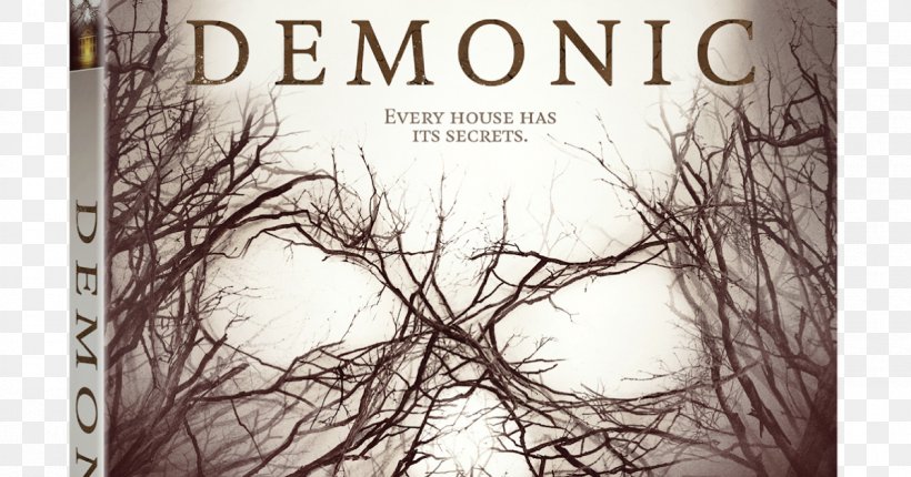 Horror Television Film Producer DVD, PNG, 1200x630px, Horror, Branch, Brand, Demonic, Demonic Toys Download Free