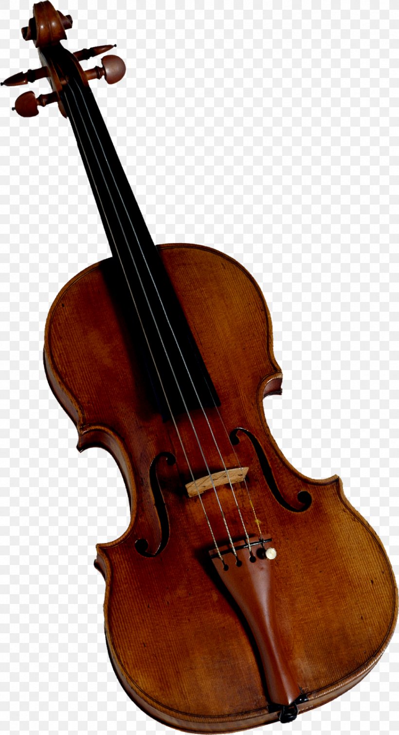 Violin Clip Art Image Fiddle, PNG, 869x1600px, Violin, Bass Violin, Bowed String Instrument, Cello, Classical Music Download Free
