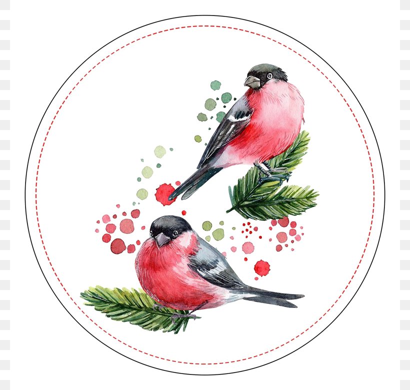 Christmas 2019, PNG, 780x780px, 2019, Watercolor Painting, Beak, Bird, Branch Download Free