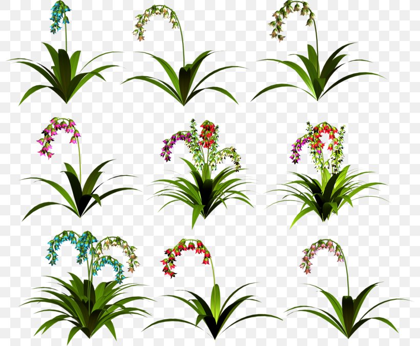 Floral Design Cut Flowers Clip Art, PNG, 800x675px, Floral Design, Bellflowers, Cut Flowers, Flora, Floristry Download Free