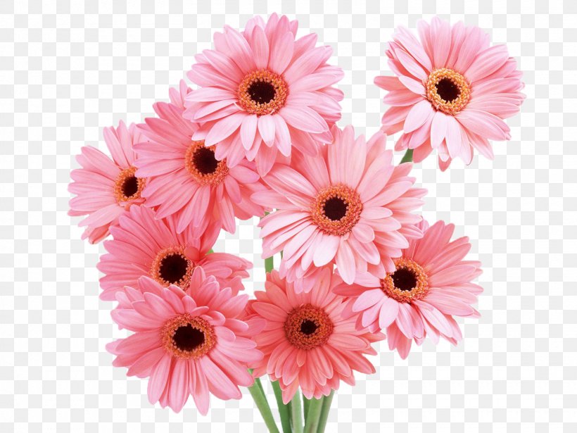 Flower Bouquet Desktop Wallpaper, PNG, 1600x1200px, Flower, Annual Plant, Artificial Flower, Bud, Chrysanths Download Free