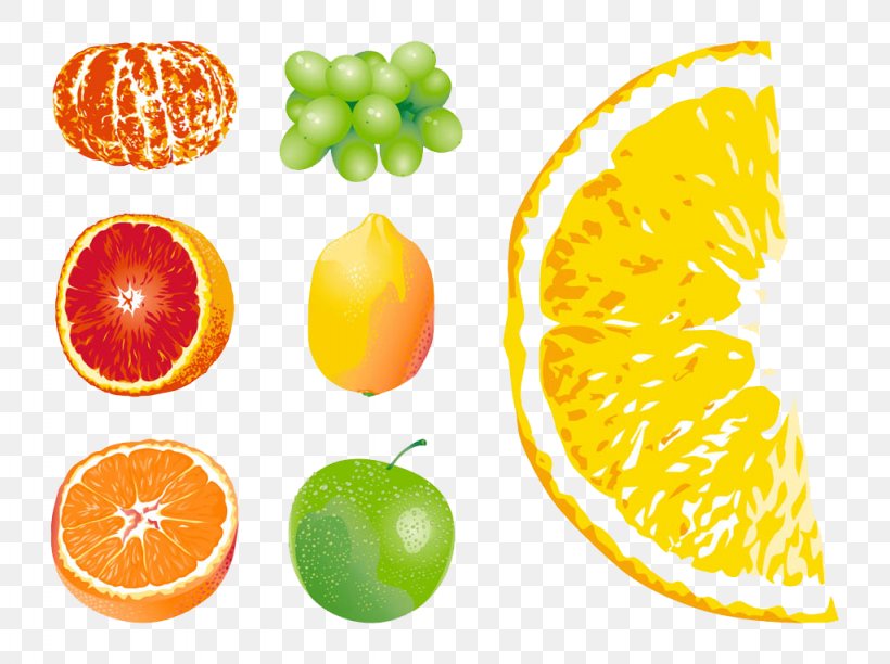 Grapefruit Orange Euclidean Vector, PNG, 1024x765px, Grapefruit, Auglis, Citric Acid, Citrus, Diet Food Download Free
