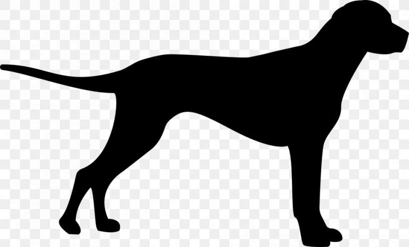 Great Dane Pet Dog Grooming Cat Food Puppy, PNG, 960x581px, Great Dane, Black, Black And White, Carnivoran, Cat Food Download Free