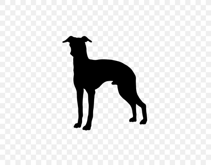 Italian Greyhound Whippet Spanish Greyhound Dog Breed, PNG, 640x640px, Italian Greyhound, Animal, Black And White, Breed, Carnivoran Download Free
