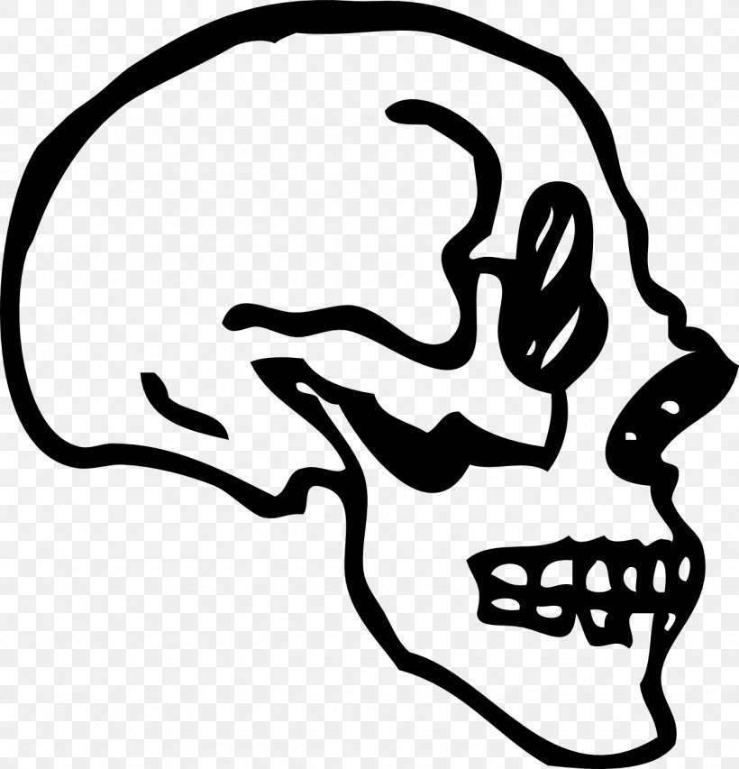 Skull Bone Skeleton Clip Art, PNG, 1331x1386px, Skull, Area, Art, Black, Black And White Download Free