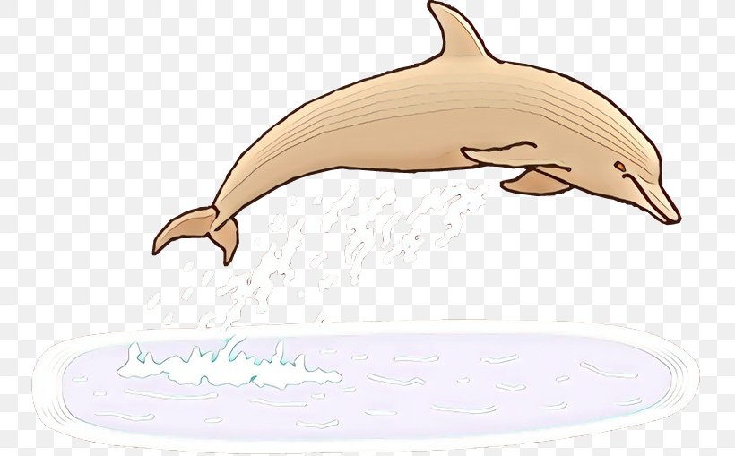 Dolphin Cartoon, PNG, 750x509px, Dolphin, Animal Figure, Beak, Bottlenose Dolphin, Cetacea Download Free