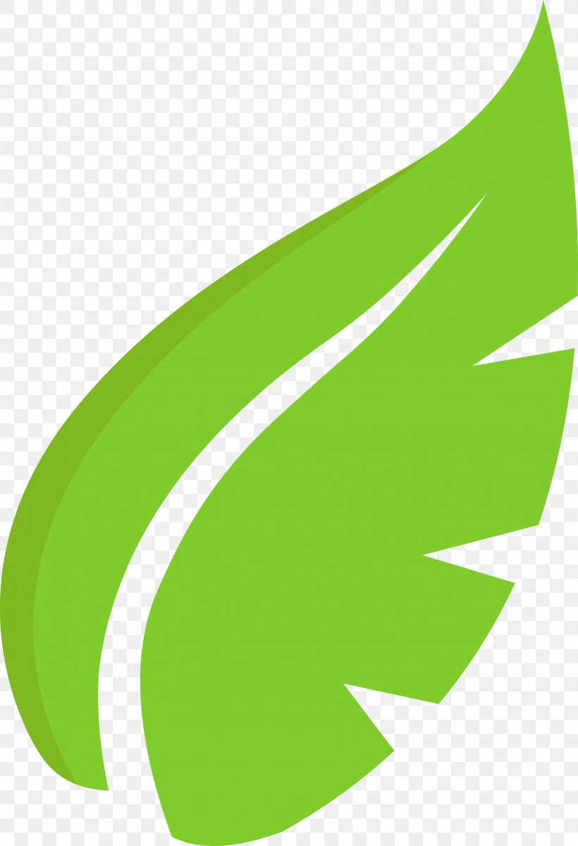 Leaf Plant Clip Art, PNG, 1641x2400px, Leaf, Fern, Grass, Green, Logo Download Free