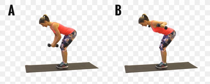 Exercise Weight Training Physical Fitness Strength Training Gymnastics, PNG, 1068x429px, Exercise, Aerobic Exercise, Arm, Balance, Exercise Equipment Download Free