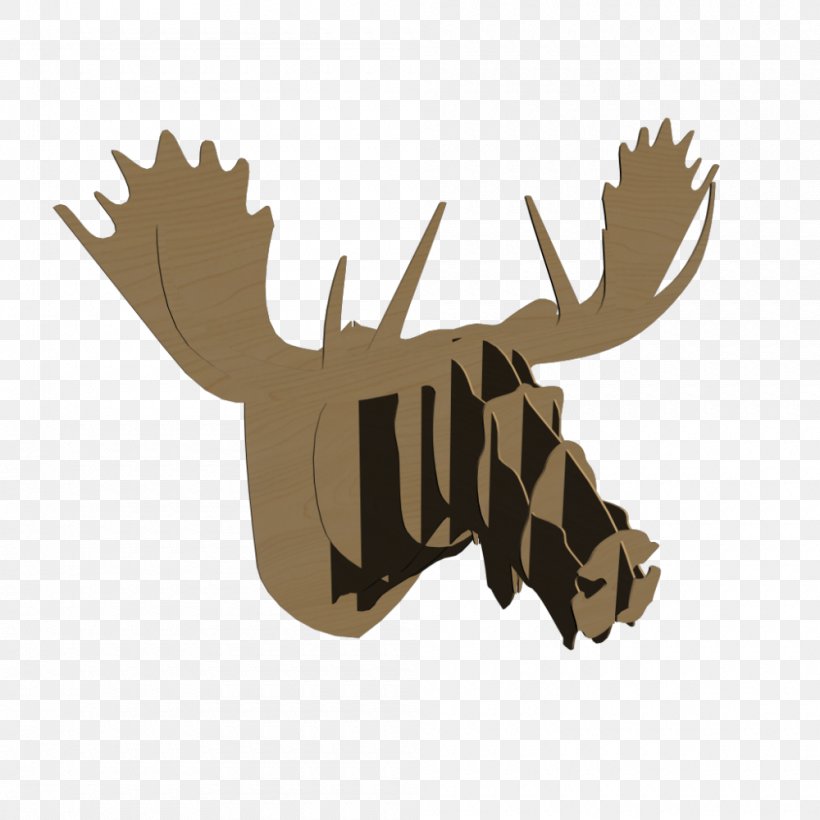 Reindeer Antler, PNG, 1000x1000px, Reindeer, Antler, Deer, Horn, Mammal Download Free