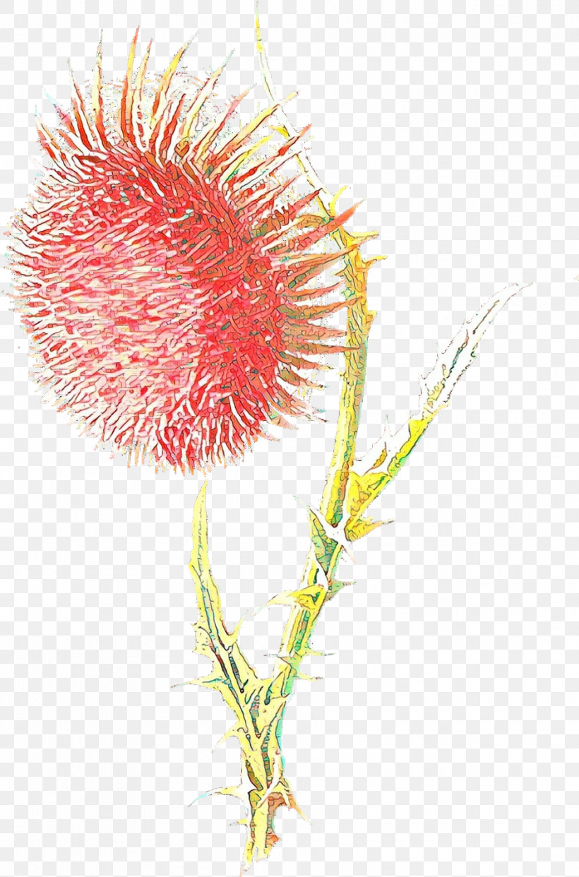 Flower Plant Thistle Thorns, Spines, And Prickles, PNG, 938x1421px, Flower, Plant, Thistle, Thorns Spines And Prickles Download Free