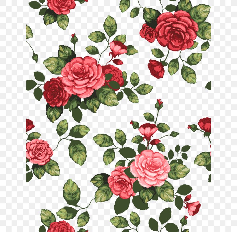 Garden Roses Cabbage Rose Floribunda Flower Drawing, PNG, 640x800px, Garden Roses, Animated Film, Cabbage Rose, Cut Flowers, Drawing Download Free