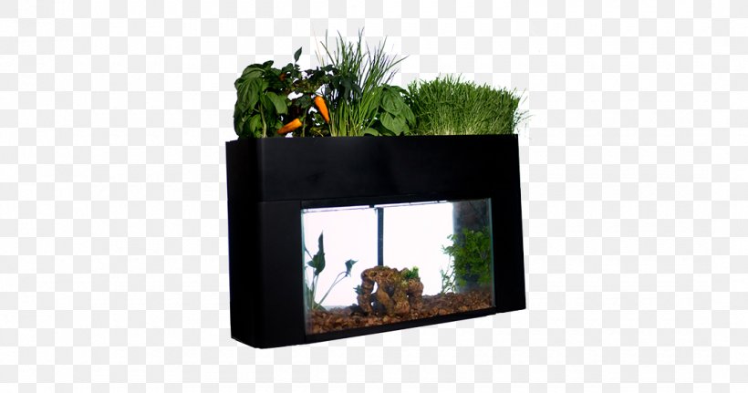 Gardening Aquaponics Aquarium Grow Light, PNG, 1080x568px, Garden, Aquaponics, Aquarium, Cleaning, Fishkeeping Download Free