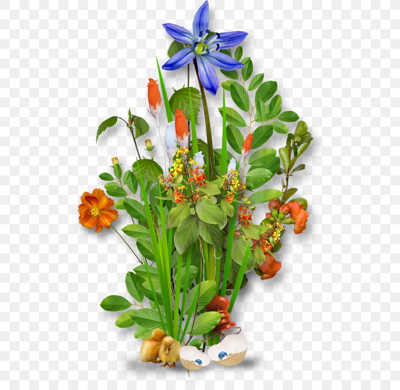 Blog Muruga Matrimony Lawn Clip Art, PNG, 515x800px, Blog, Cut Flowers, Digital Image, Floral Design, Floristry Download Free