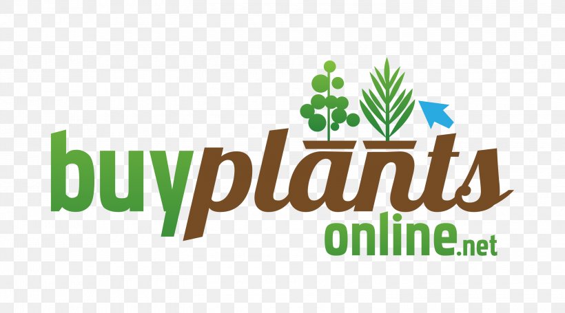 Nursery Plant Bog Garden Ornamental Grass, PNG, 3000x1667px, Nursery, Allium, Brand, Garden, Garden Centre Download Free