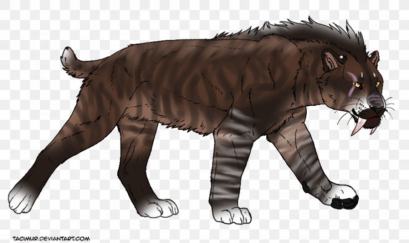 Tiger Lion Felidae Vertebrate Saber-toothed Cat, PNG, 900x535px, Tiger, Big Cat, Big Cats, Carnivora, Carnivoran Download Free