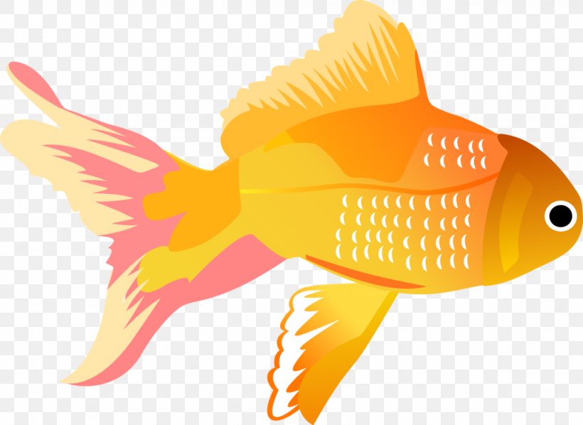 Vector Graphics Koi Fish Clip Art Illustration, PNG, 1024x747px, Koi, Beak, Bony Fish, Fauna, Fin Download Free