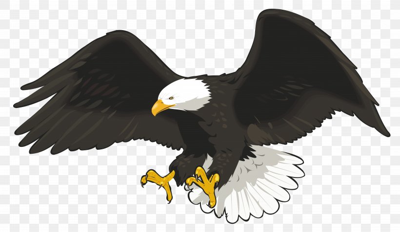 Bald Eagle Clip Art, PNG, 9288x5408px, Bald Eagle, Accipitriformes, Beak, Bird, Bird Of Prey Download Free