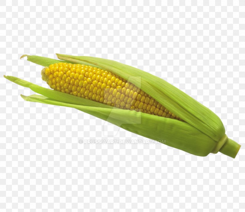 Corn On The Cob Flint Corn Sweet Corn Corncob Baby Corn, PNG, 959x832px, Corn On The Cob, Baby Corn, Corn, Corn Kernel, Corn Kernels Download Free