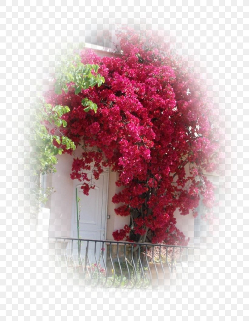 Floral Design Pink M Shrub, PNG, 800x1057px, Floral Design, Flora, Floristry, Flower, Flower Arranging Download Free